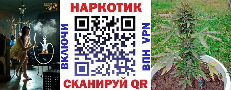 Виды наркотиков купить Кущёвская OMG ссылка  Бошки Шишки  Cocaine  Амфетамин  Мефедрон  ГАШ 