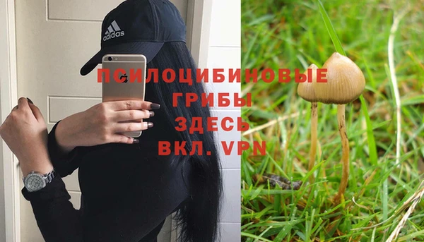 винт Богданович
