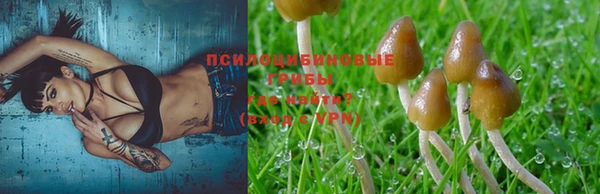 герыч Балахна