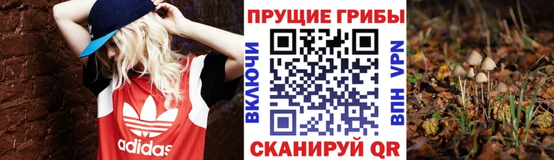даркнет состав  Кущёвская  Псилоцибиновые грибы прущие грибы  дарнет шоп 